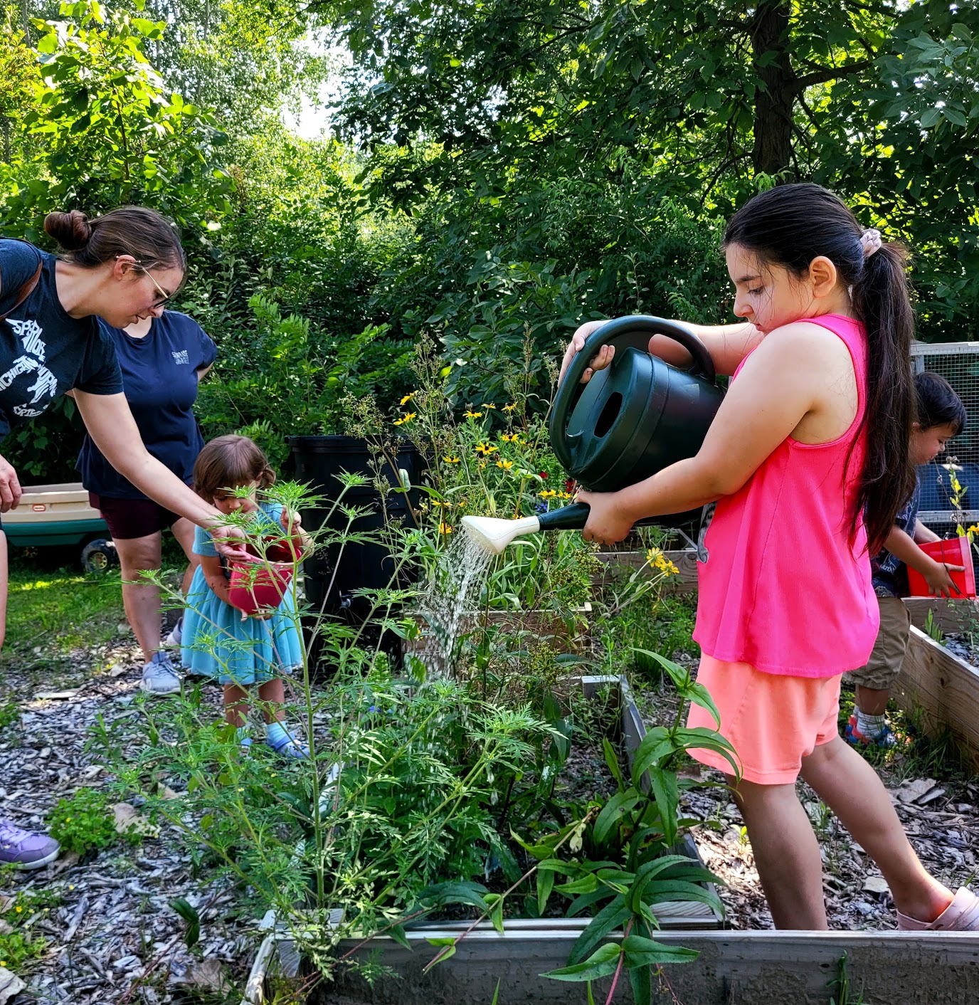 Child using a watering can at a garden bed while other children and adults tend plants nearby