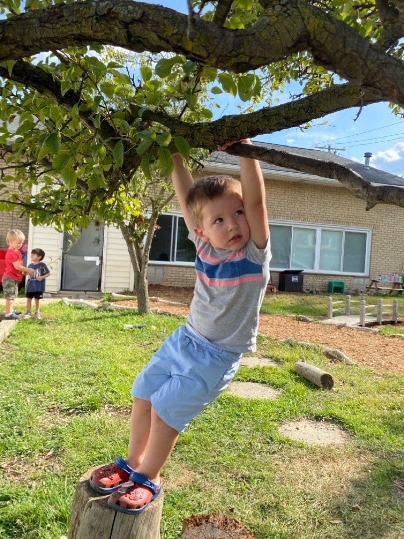 A child exploring near the pear tree at Hazel Park