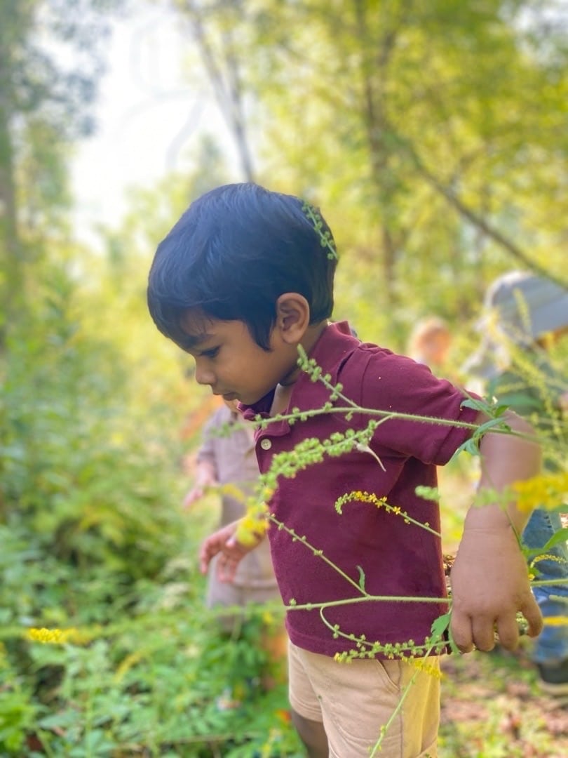 A child studying plants along Green Garden Macomb's forest trail