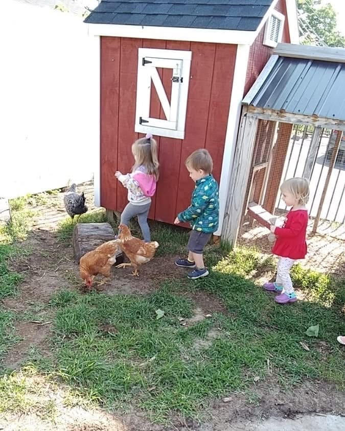 Children visiting chickens beside a red coop outdoors