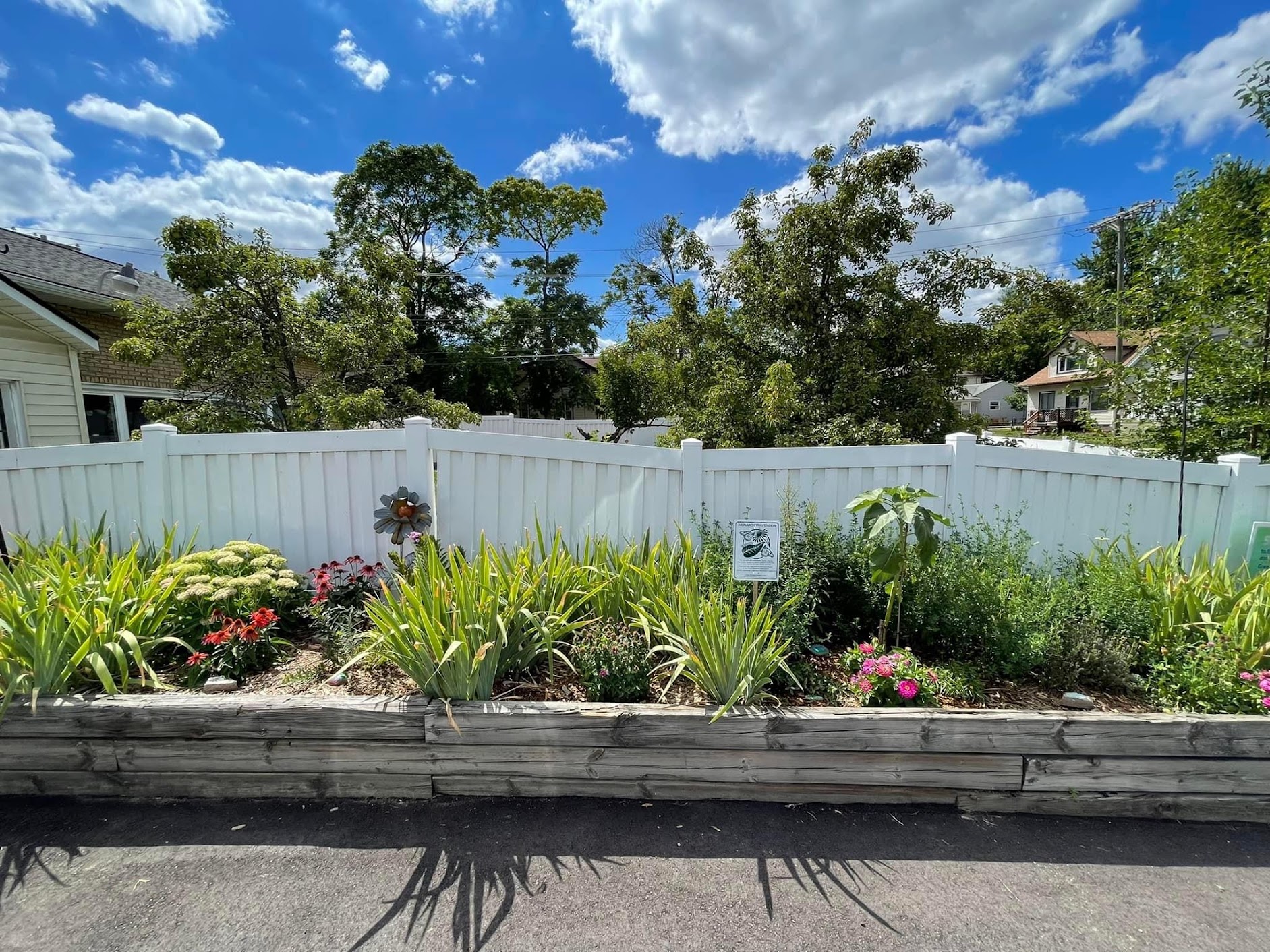 Flowering and leafy plants growing in a long raised garden bed under a blue sky