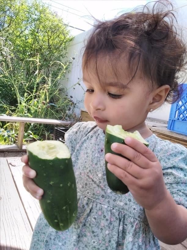 A young child holds two pieces of cucumber outdoors