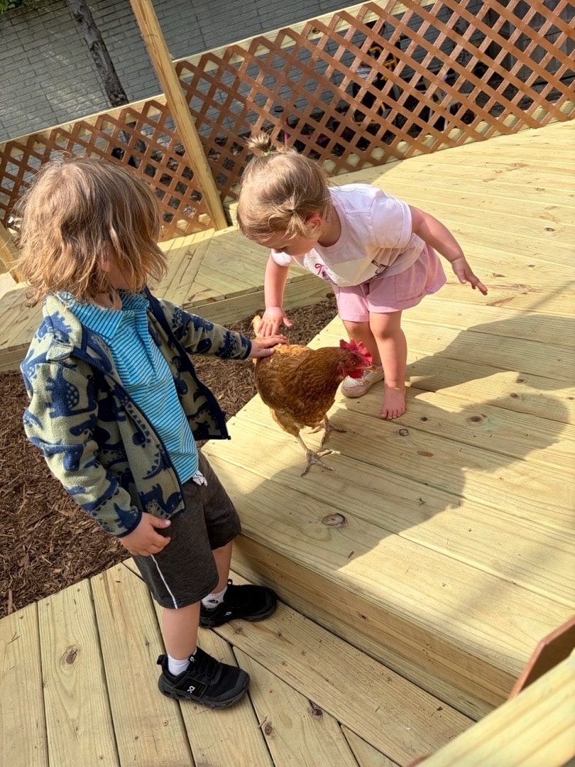 Two children gently touch a chicken in an outdoor Green Garden space