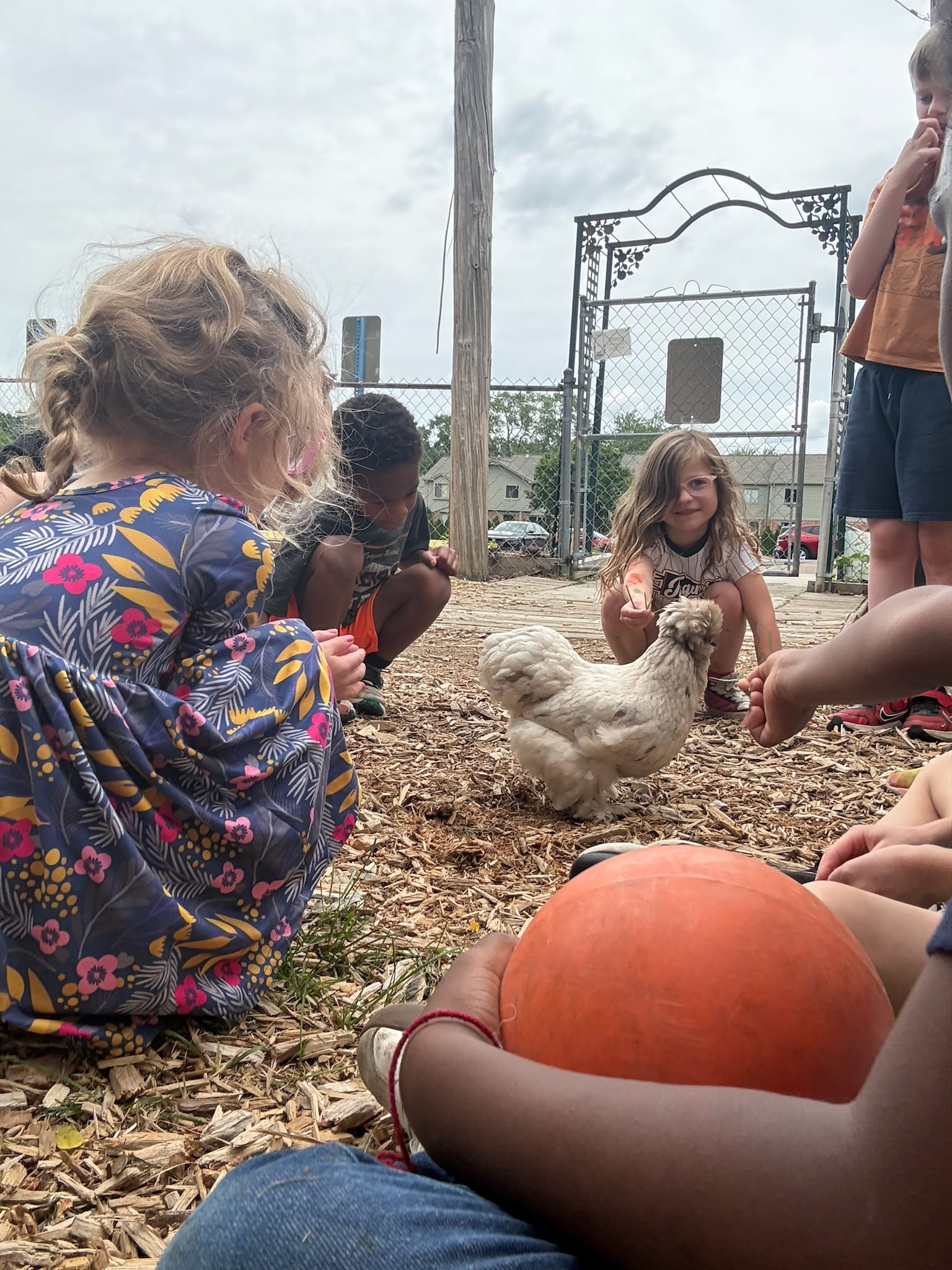 Children gathered around a chicken outdoors