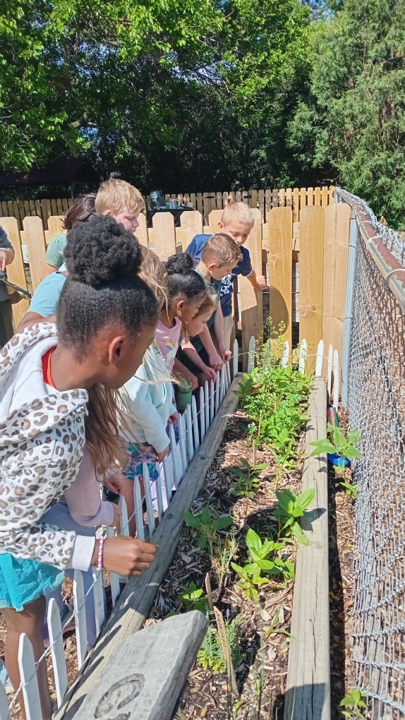Children looking closely at plants in Clawson's garden